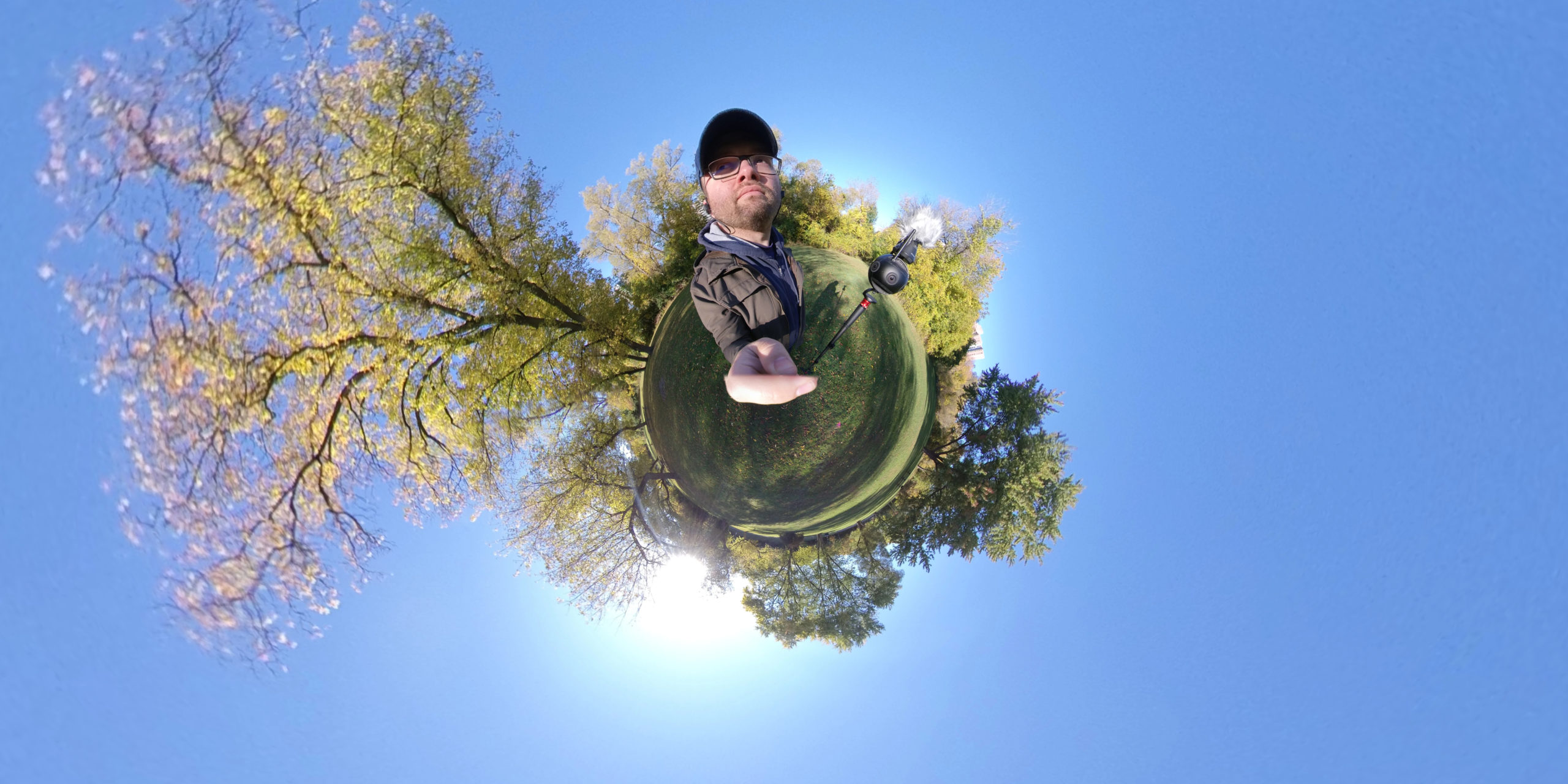 Screen shot of a 360 video bubble. There is a prominent tree and the photographers head visible against the blue background from the sky.